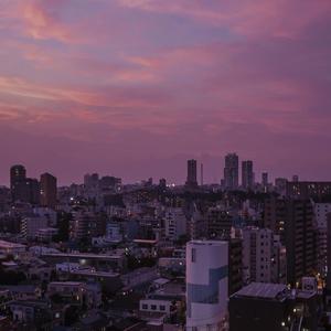 国产亲妺妺乱的性视频
